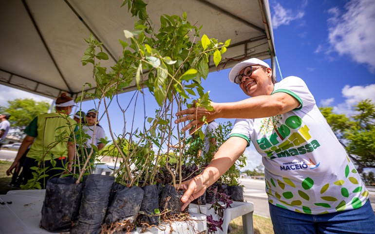 Mirante da Santa Amélia recebe quarta etapa do projeto Arborizar é Massa