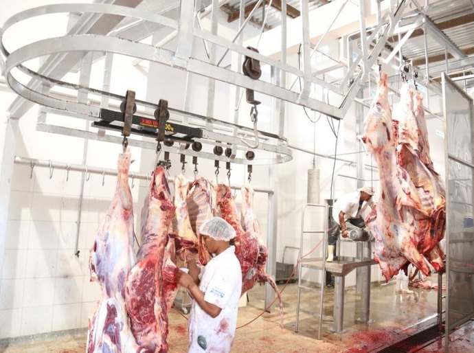 Novo matadouro de Campo Alegre garante qualidade do abate de animais