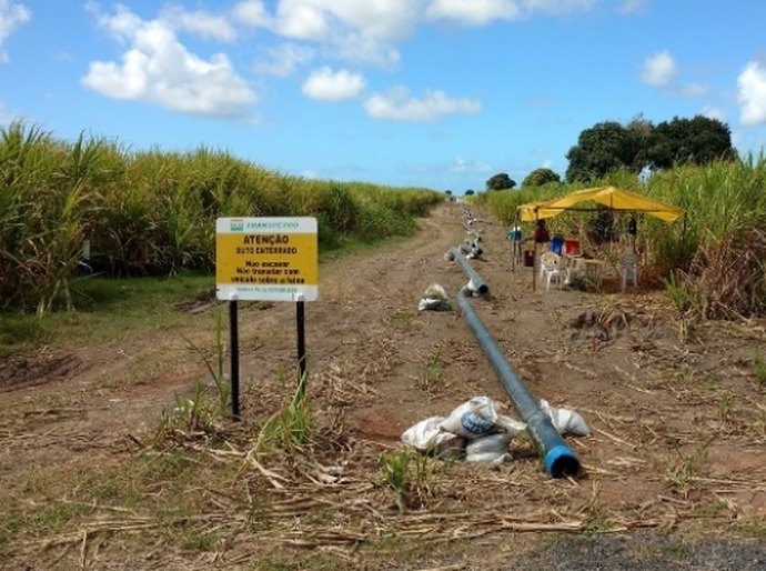 Duplicação de gasoduto potencializará gás natural para indústrias