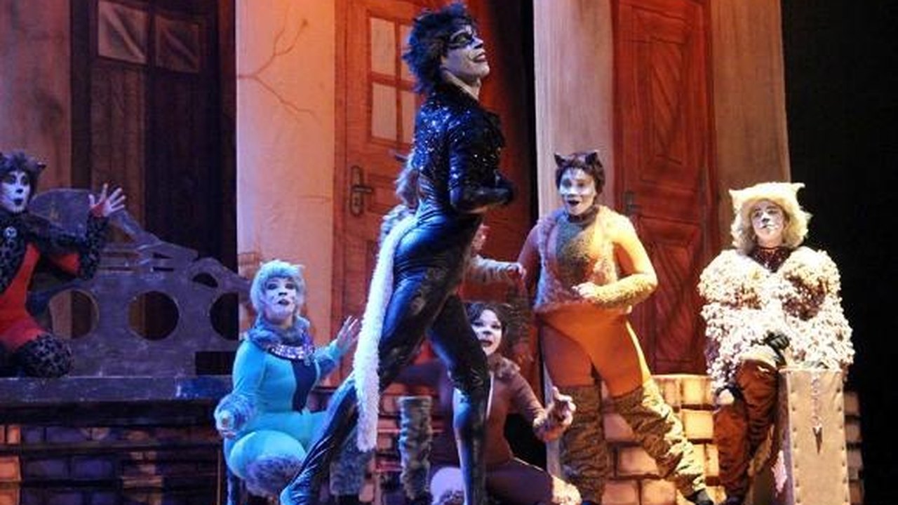 Sucesso de público, ‘Os Gatos’ retornam ao palco do Deodoro neste sábado