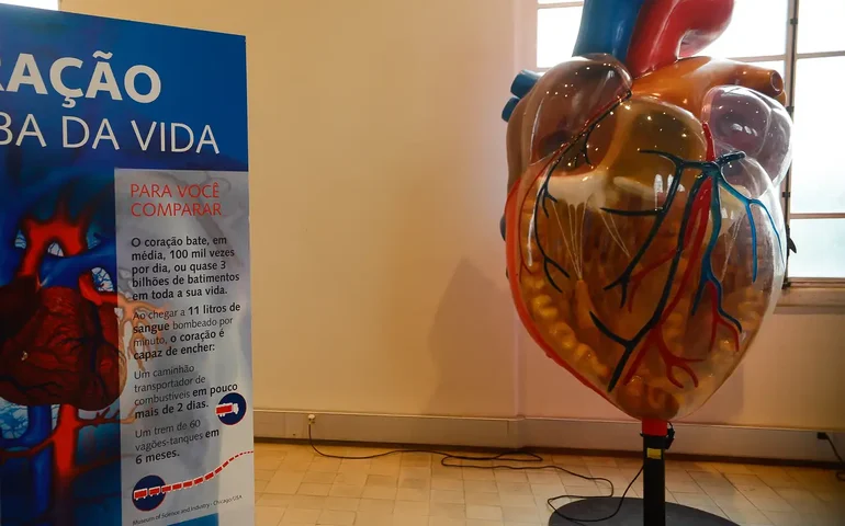 Infarto e parada cardíaca não são a mesma coisa; especialistas ensinam como diferenciá-los