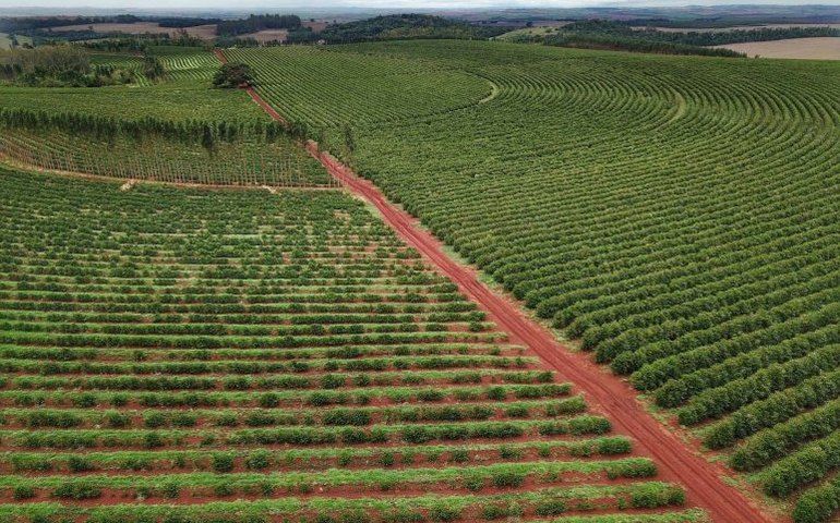 Audiência pública avalia plano de produção de fertilizantes do governo