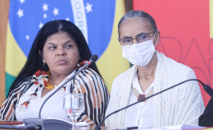 Desmatamento anual da Amazônia tem queda de 22,3%