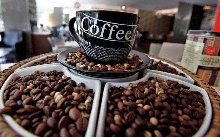 Preço do café pode subir 25% em 2025 devido às safras no Brasil e Vietnã, alerta especialista