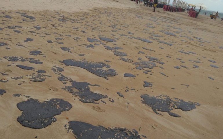 IMA alerta para cuidados com manchas de óleo nas praias: é importante evitar contato
