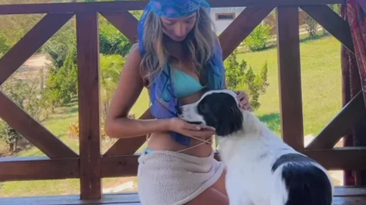 Lindolfo, cachorro de Samira do BBB 26, faz sucesso nas redes e ultrapassa participante