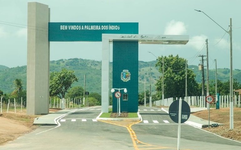 Palmeira lidera produção leiteira em Alagoas e Paulo Dantas é o 3º maior produtor