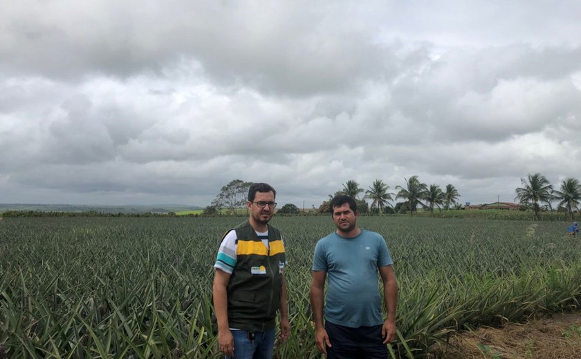 Por meio da diversificação agrícola, agricultor aumenta renda anual em quase 80%