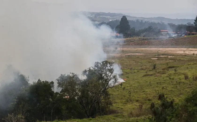 Cinco municípios paulistas estão com foco de incêndio ativo