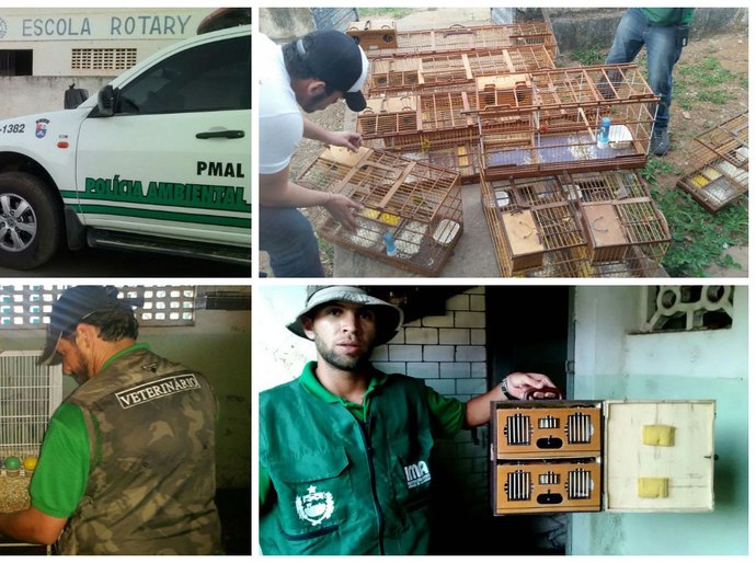 FPI São Francisco: escola pública abandonada é suspeita de receber rinha de pássaros