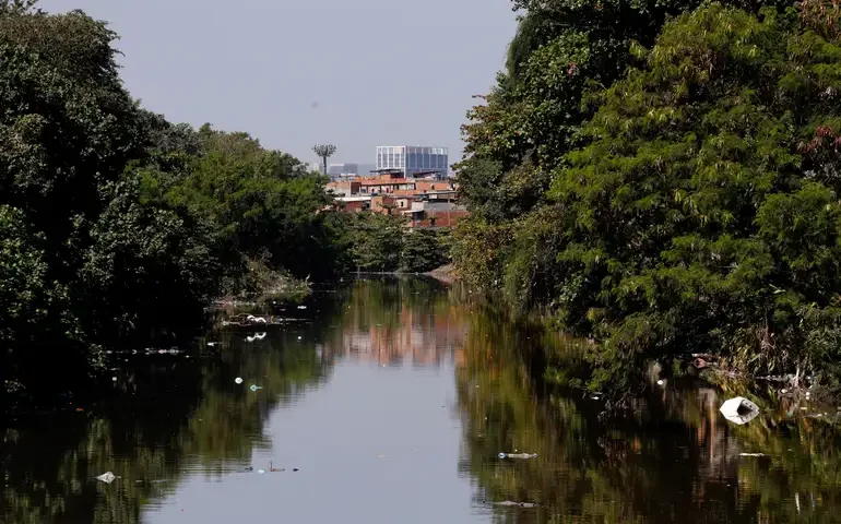 Vazamento de 2 mil litros de corante deixa azul água de córrego em SP e afeta animais