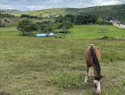 WhatsApp Image 2025-11-04 at 14.29.39 (1).jpeg 