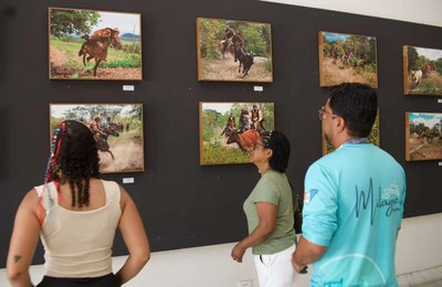 Últimos dias para conferir a exposição “Pega de Boi no Mato” no Museu Palácio Floriano Peixoto