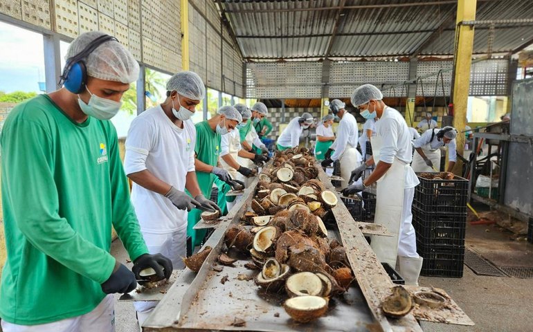 Edital prioriza cooperativas tradicionais para abastecer escolas indígenas e quilombolas