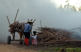 Quase 2 milhões de crianças são exploradas com trabalho no Brasil