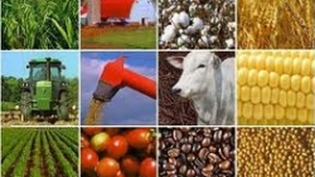 Valor da Produção Agropecuária de 2015 é de R$ 479 bilhões