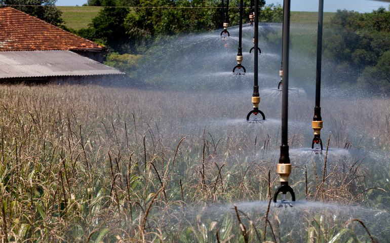 PPI quer conceder projetos de irrigação nos Estados à iniciativa privada