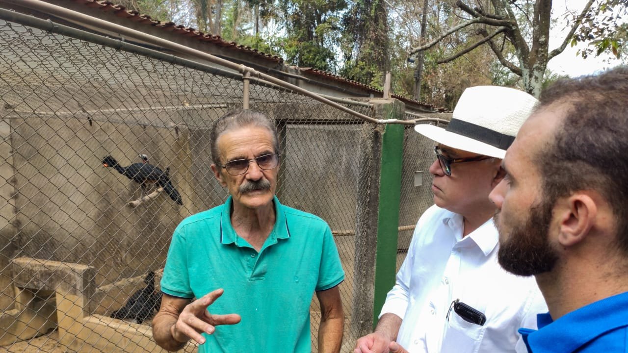 Ave extinta na natureza retorna para as matas de Alagoas