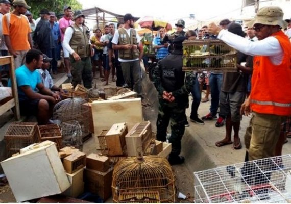 Governo de AL fiscaliza, multa e monitora municípios do Sertão durante FPI