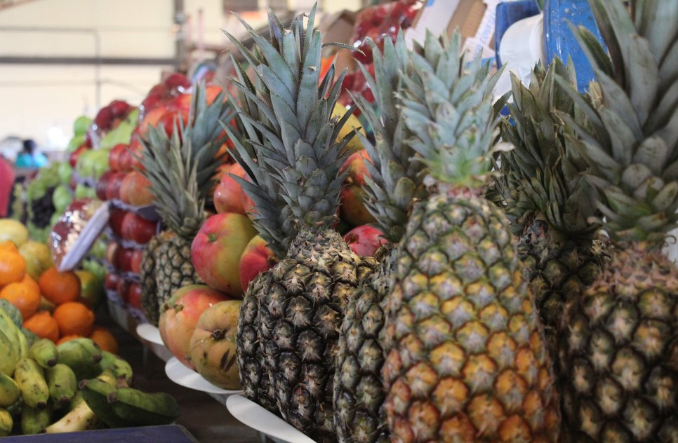FRUTAS / Foto: Fotos: Ascom Semdec