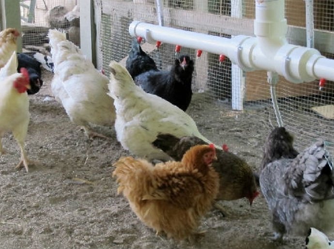 Recursos do Estado mudam a vida de sertanejos de Olho d’Água das Flores