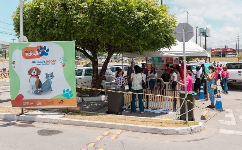 Prefeitura realiza primeira Feira de Adoção de 2022 neste sábado (8)