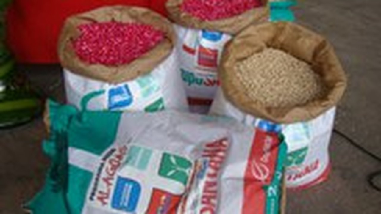 Seagri disponibiliza edital de sementes para safra 2014