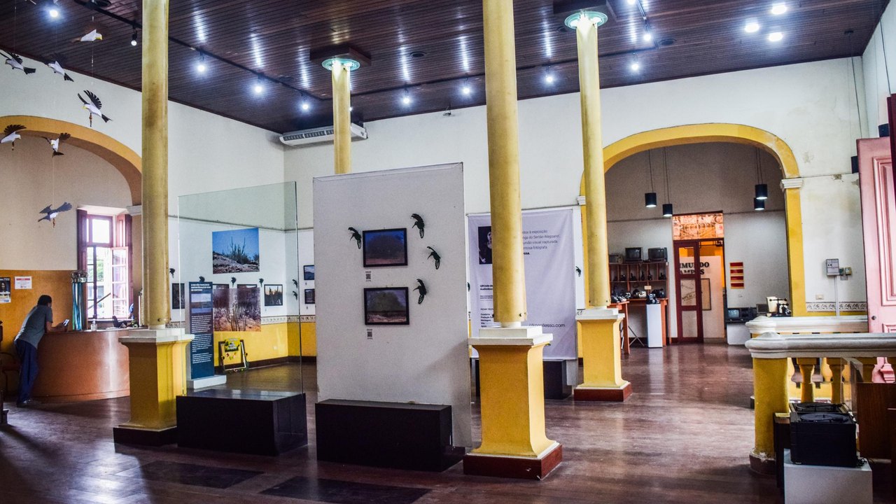Exposição “A Caatinga do Sertão Alagoano” é estendida até 31 de julho no Misa