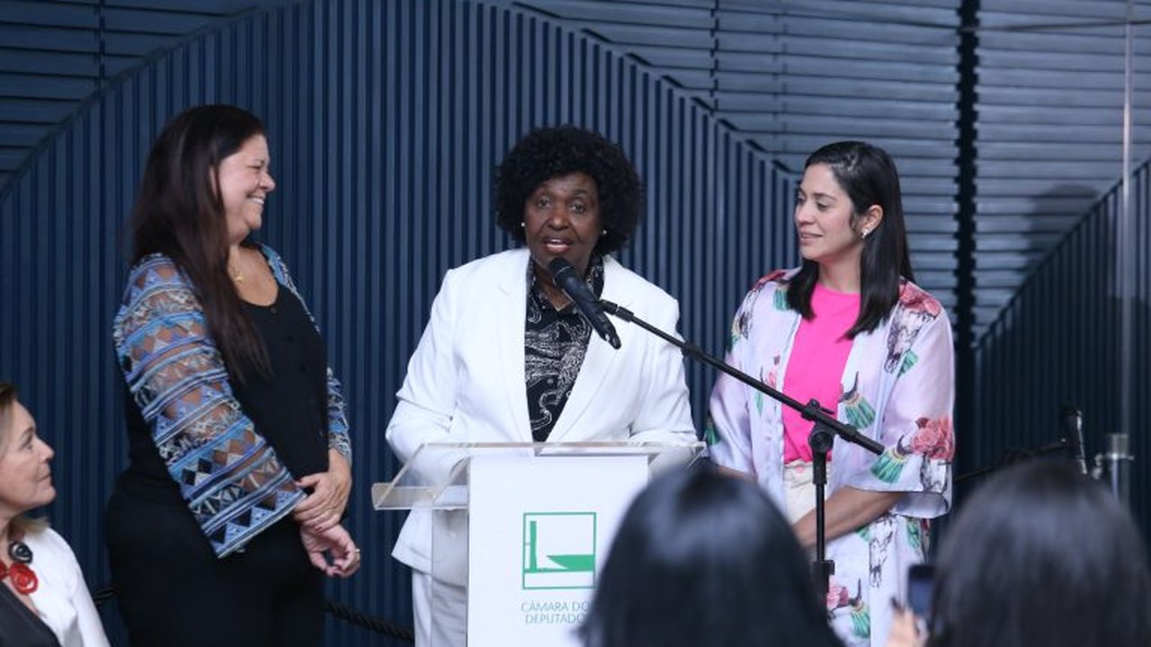Coordenadoras da Secretaria da Mulher tomam posse na Câmara