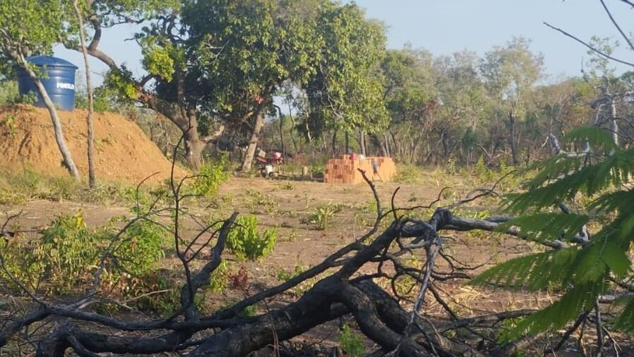 PF e MPF prendem integrantes de quadrilha de grilagem em terra indígena no Piauí