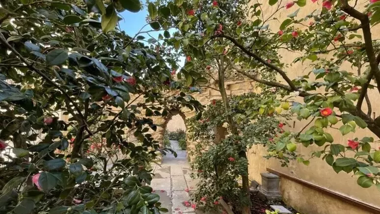 Florença, na Itália, inaugura jardim 'secreto' de camélias