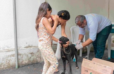 Prefeitura de Maceió inicia campanha de vacinação antirrábica no próximo sábado (2)