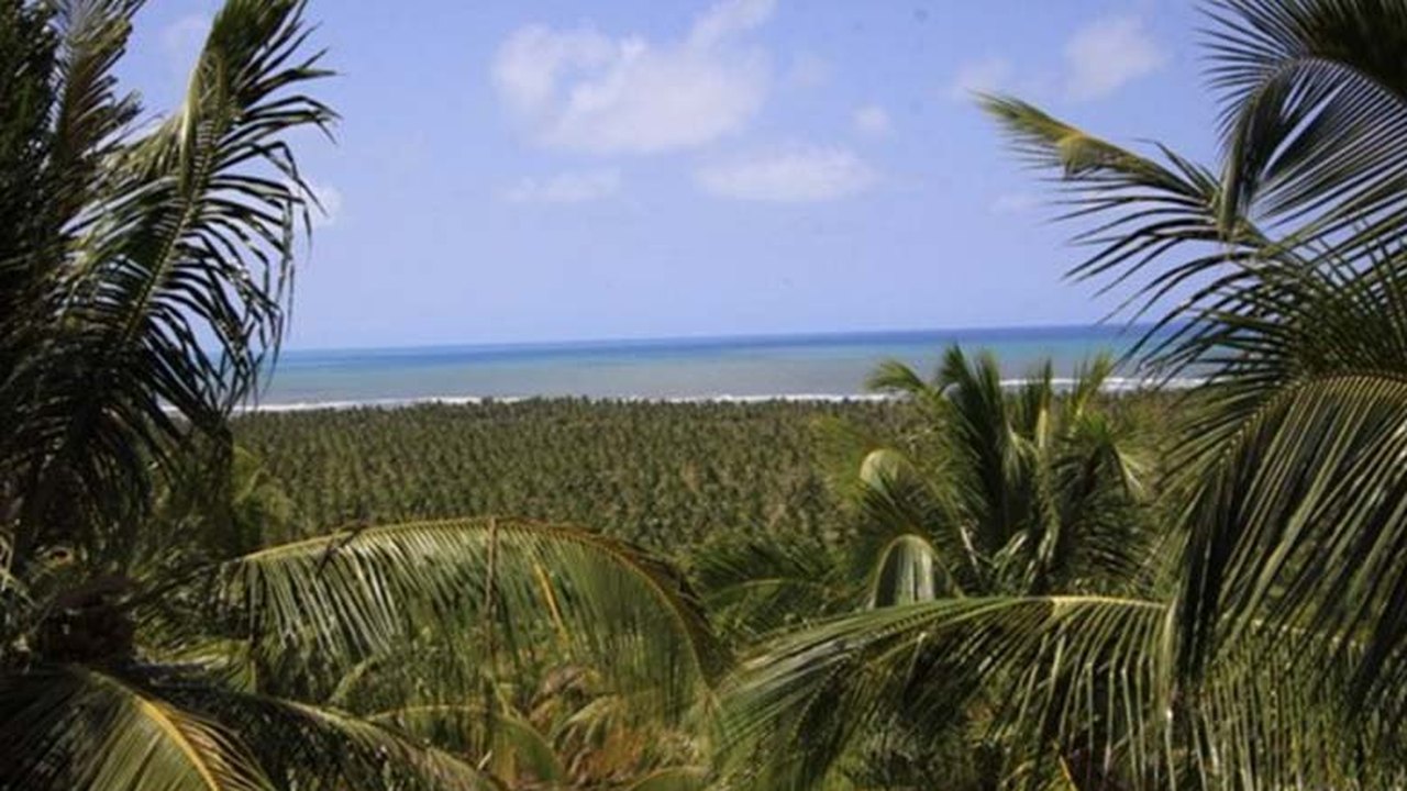 Clinica Tecnológica reúne empresários do turismo na Praia do Gunga
