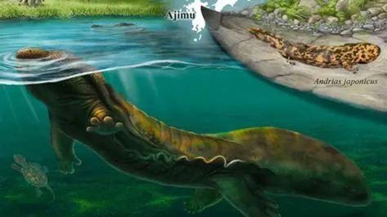 Fósseis de salamandra gigante de 3,5 milhões de anos podem revelar nova espécie