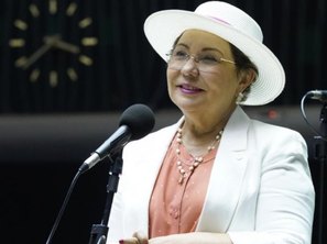 Tereza Nelma - Assessoria