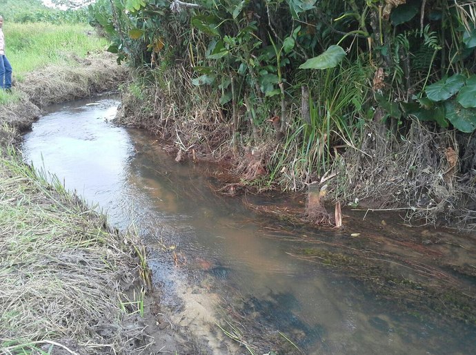 Limpeza no Rio da Estiva garante melhor abastecimento de água de Marechal