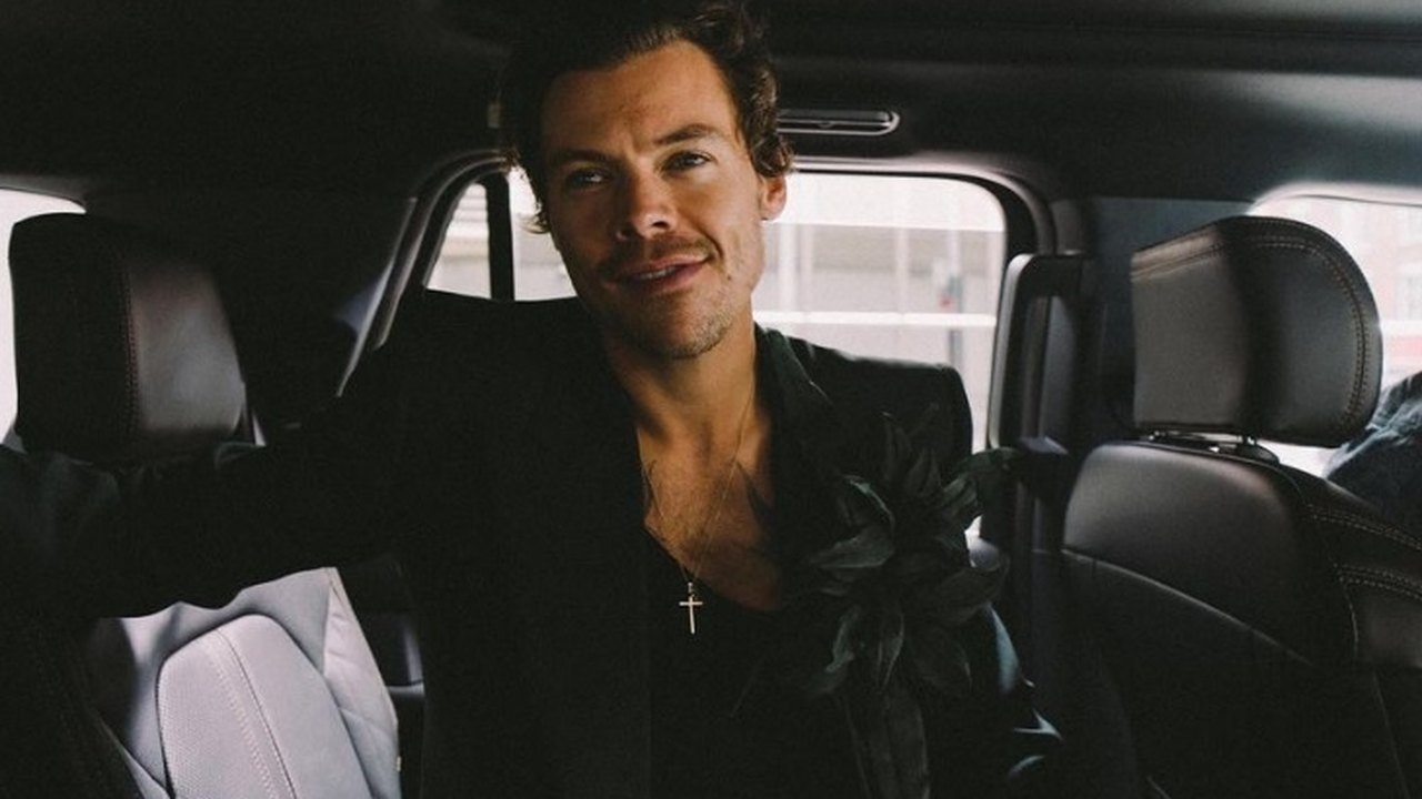 Harry Styles interrompe show para fã grávida ir ao banheiro e escolhe o nome do bebê