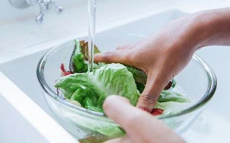 Coronavírus: instituições têm investido na distribuição de alimentos