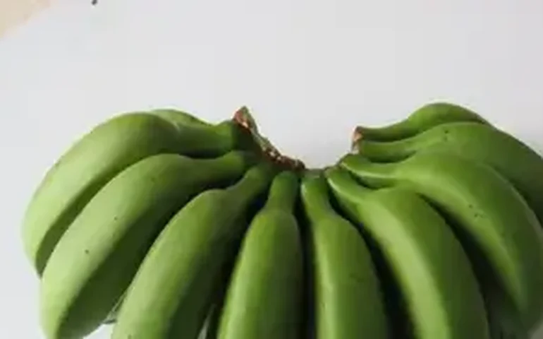 Shake de banana verde, meditação e treinos diários: conheça o homem de 61 anos que passou na frente de Bryan Johnson como 'biohacker'