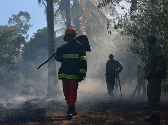 Corpo de Bombeiros registra catorze incêndios durante feriadão