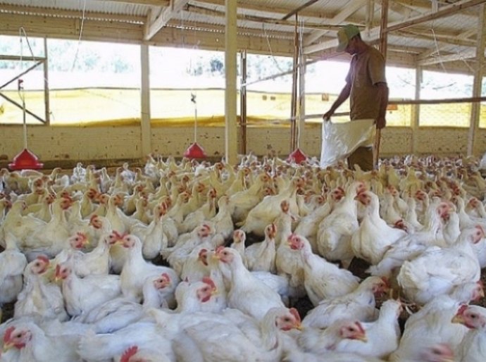 Ações de interiorização fortalecem a produção rural no Sertão