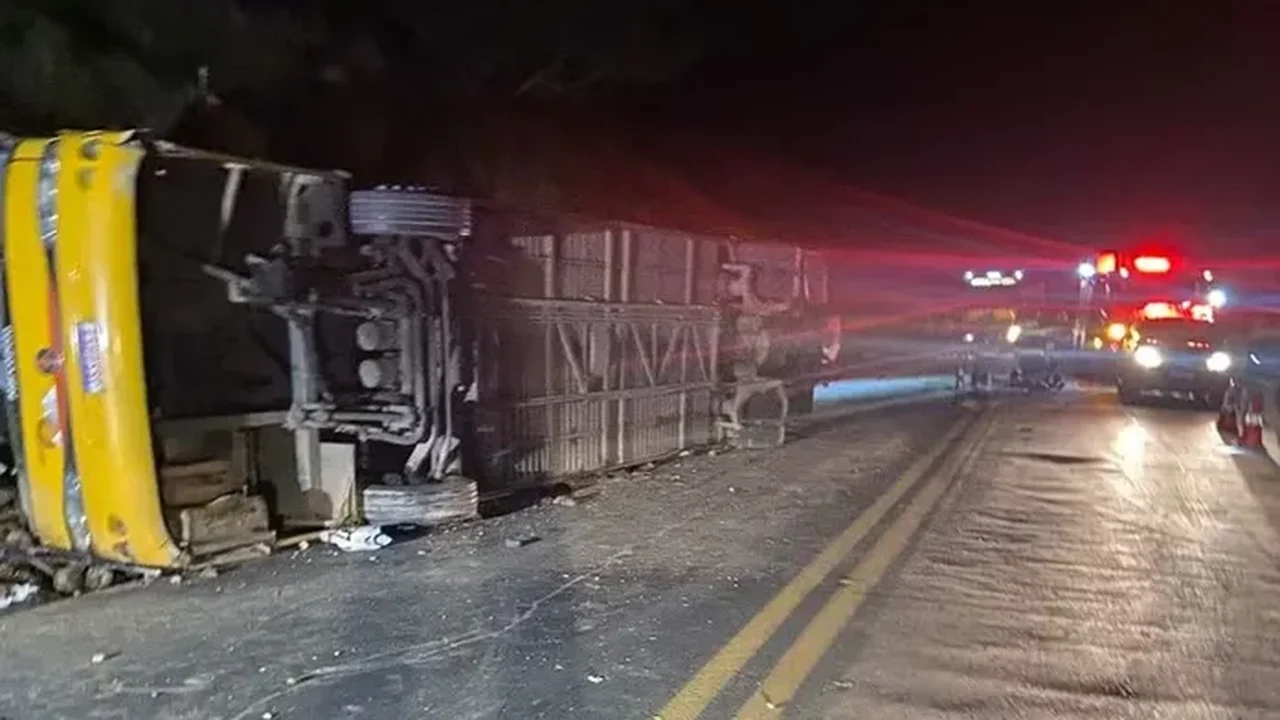 Ônibus que saiu de Arapiraca se envolve em acidente em MG e deixa cinco mortos
