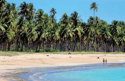 Cultura e turismo de natureza motivaram mais de 60% das viagens de lazer em 2019
