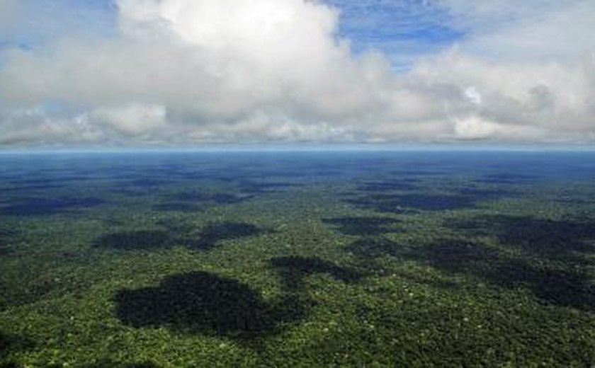 Delegado da PF é denunciado por morte de indígena
