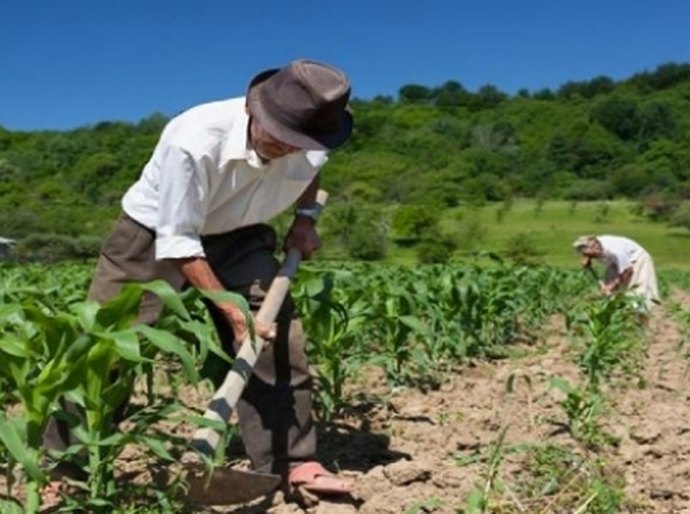 Governo distribuirá kits de irrigação com pequenos produtores