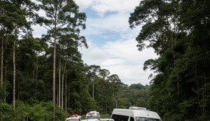 Colisão entre carro e van deixa um morto e quatro feridos na Zona da Mata