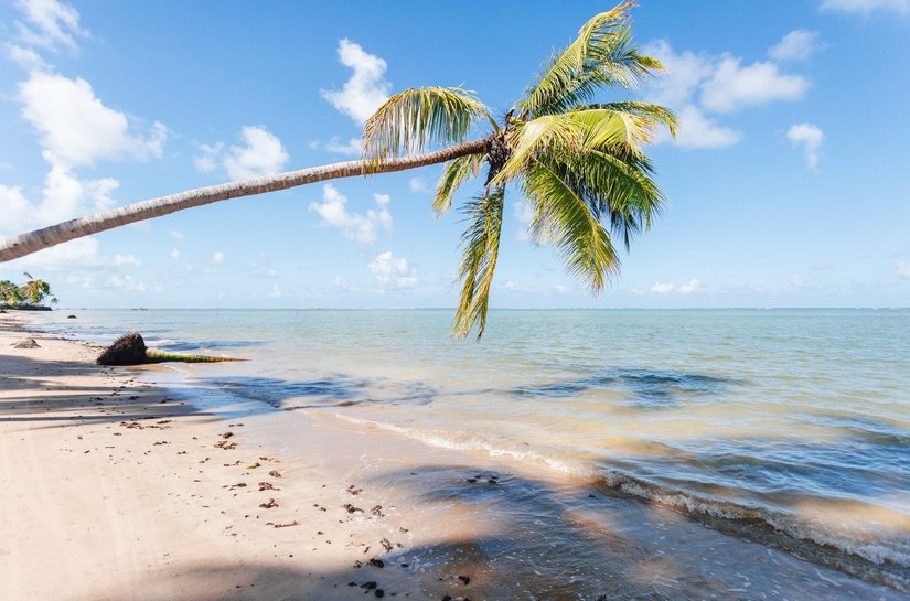 O Melhor do Turismo Brasileiro: Alagoas é finalista em prêmio do jornal Estadão