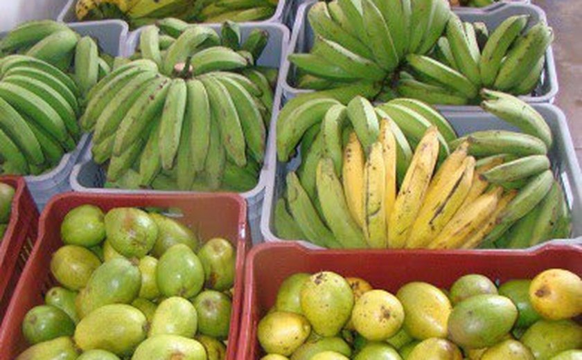 Unidade de Beneficiamento de Frutas irá beneficiar cerca de 2 mil agricultores