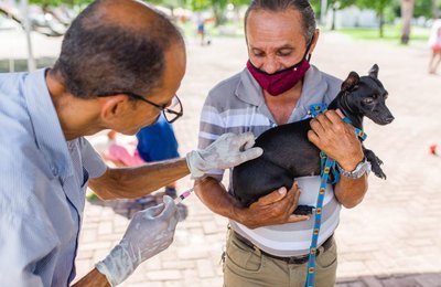 Campanha de vacinação antirrábica estará na parte alta neste sábado (9); confira os pontos
