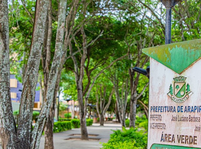 Arapiraca regulamenta compensação ambiental para supressão de árvores no município